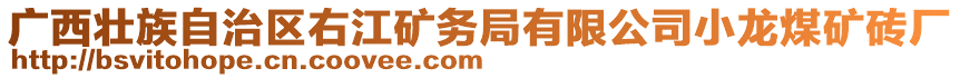 廣西壯族自治區(qū)右江礦務(wù)局有限公司小龍煤礦磚廠