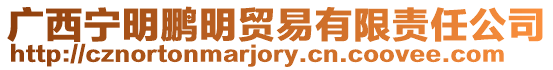 廣西寧明鵬明貿(mào)易有限責(zé)任公司