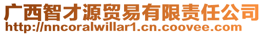 廣西智才源貿(mào)易有限責(zé)任公司