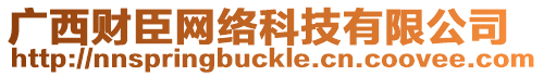 廣西財(cái)臣網(wǎng)絡(luò)科技有限公司