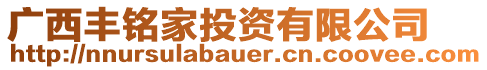 廣西豐銘家投資有限公司