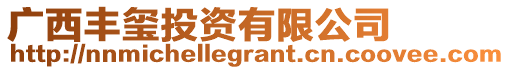 廣西豐璽投資有限公司