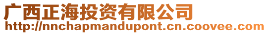 廣西正海投資有限公司