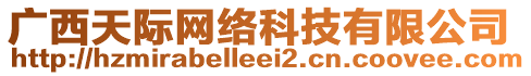 廣西天際網(wǎng)絡(luò)科技有限公司