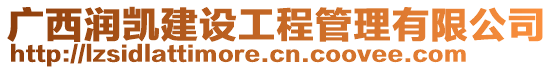 廣西潤凱建設工程管理有限公司