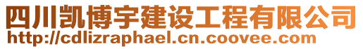 四川凱博宇建設(shè)工程有限公司