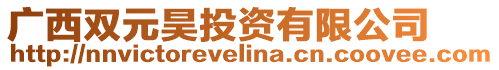 廣西雙元昊投資有限公司