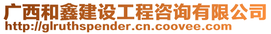 廣西和鑫建設(shè)工程咨詢有限公司