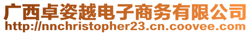 廣西卓姿越電子商務(wù)有限公司