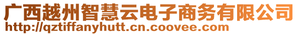 廣西越州智慧云電子商務(wù)有限公司