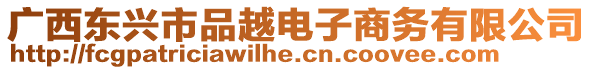 廣西東興市品越電子商務(wù)有限公司