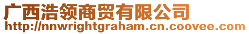 廣西浩領(lǐng)商貿(mào)有限公司