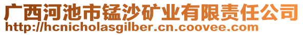 廣西河池市錳沙礦業(yè)有限責(zé)任公司