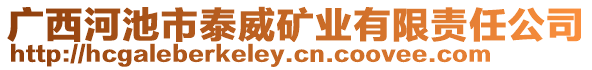 廣西河池市泰威礦業(yè)有限責任公司