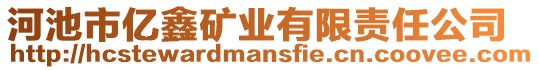 河池市億鑫礦業(yè)有限責(zé)任公司