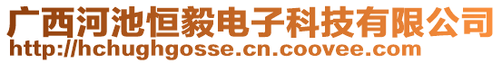 廣西河池恒毅電子科技有限公司