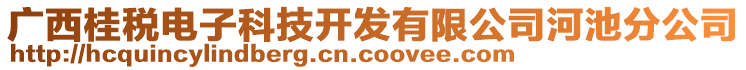 廣西桂稅電子科技開發(fā)有限公司河池分公司