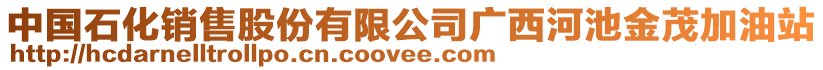 中國石化銷售股份有限公司廣西河池金茂加油站