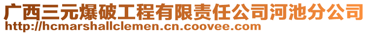 廣西三元爆破工程有限責任公司河池分公司