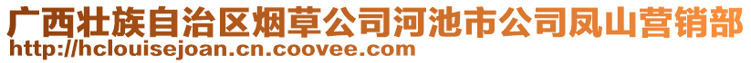 广西壮族自治区烟草公司河池市公司凤山营销部