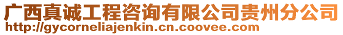 廣西真誠工程咨詢有限公司貴州分公司