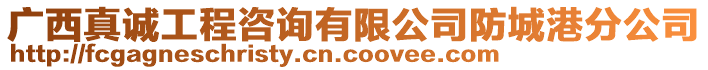 廣西真誠工程咨詢有限公司防城港分公司