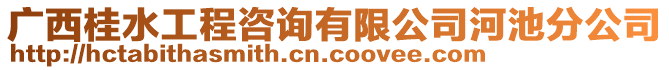 廣西桂水工程咨詢有限公司河池分公司