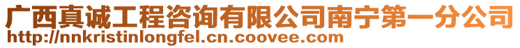 廣西真誠(chéng)工程咨詢(xún)有限公司南寧第一分公司
