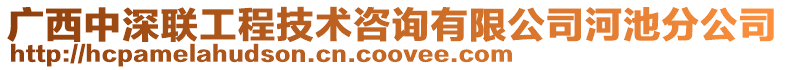 廣西中深聯(lián)工程技術(shù)咨詢有限公司河池分公司