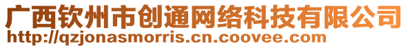 廣西欽州市創(chuàng)通網(wǎng)絡(luò)科技有限公司