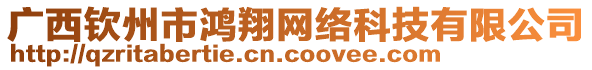 廣西欽州市鴻翔網(wǎng)絡(luò)科技有限公司