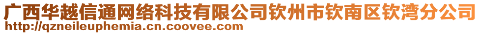 廣西華越信通網(wǎng)絡(luò)科技有限公司欽州市欽南區(qū)欽灣分公司