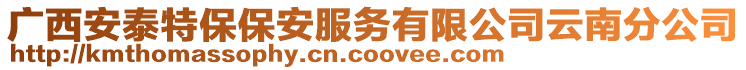 廣西安泰特保保安服務(wù)有限公司云南分公司