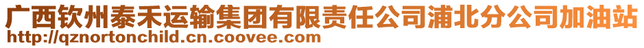 廣西欽州泰禾運(yùn)輸集團(tuán)有限責(zé)任公司浦北分公司加油站