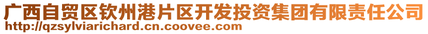 廣西自貿(mào)區(qū)欽州港片區(qū)開發(fā)投資集團(tuán)有限責(zé)任公司