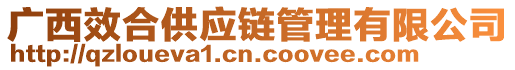 廣西效合供應鏈管理有限公司