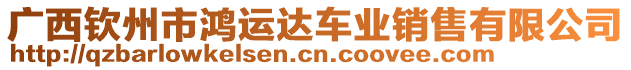 廣西欽州市鴻運達車業(yè)銷售有限公司