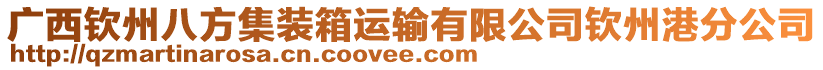 廣西欽州八方集裝箱運輸有限公司欽州港分公司