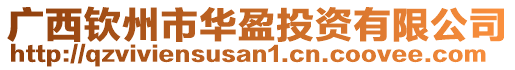 廣西欽州市華盈投資有限公司