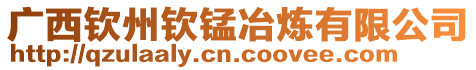 廣西欽州欽錳冶煉有限公司