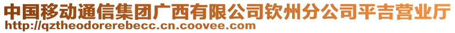 中國移動通信集團(tuán)廣西有限公司欽州分公司平吉營業(yè)廳