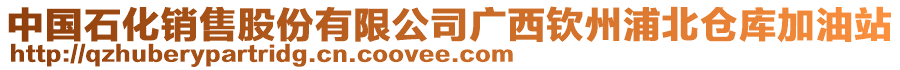 中國石化銷售股份有限公司廣西欽州浦北倉庫加油站