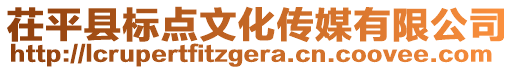 茌平縣標(biāo)點(diǎn)文化傳媒有限公司