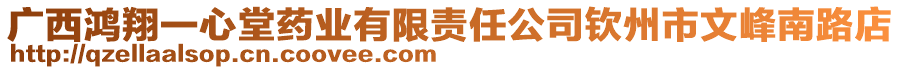 廣西鴻翔一心堂藥業(yè)有限責(zé)任公司欽州市文峰南路店