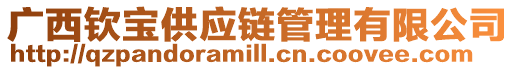 廣西欽寶供應(yīng)鏈管理有限公司