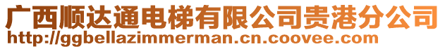 廣西順達通電梯有限公司貴港分公司