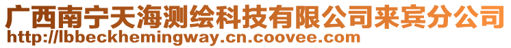 廣西南寧天海測(cè)繪科技有限公司來賓分公司