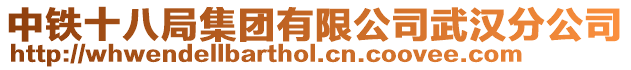 中鐵十八局集團(tuán)有限公司武漢分公司