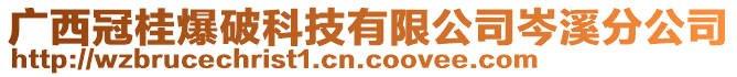 廣西冠桂爆破科技有限公司岑溪分公司