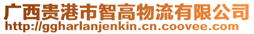 廣西貴港市智高物流有限公司